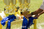 031223 - Trofeus e medalhas (2)